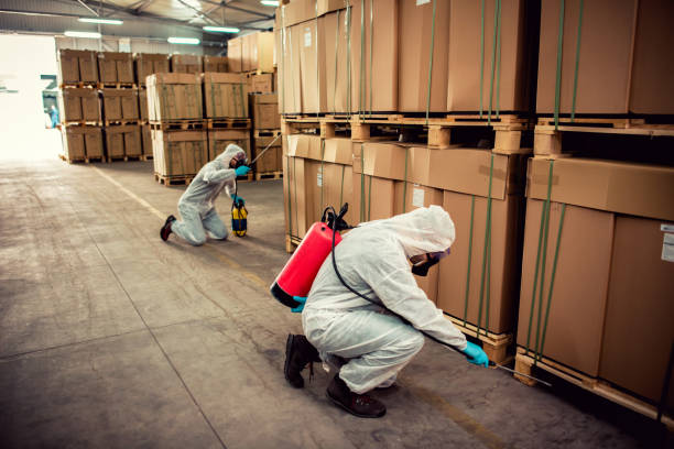 Best Local Pest Control Services  in Royal Oak, MI