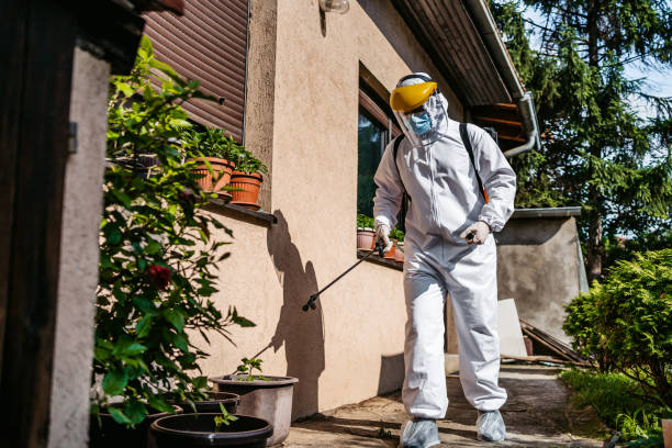 Best Mosquito Control Services  in Royal Oak, MI
