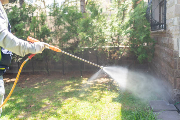 Best Wildlife Control Services  in Royal Oak, MI