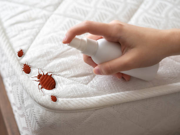 Best Best Pest Control Companies  in Royal Oak, MI