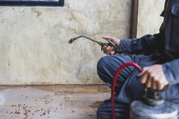 Best Emergency Pest Control  in Royal Oak, MI